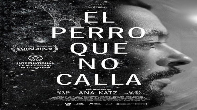 Llega este 25 de agosto  La 17ma. edición del Santiago Festival Internacional de Cine