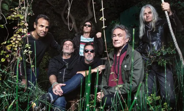 los-decoradores