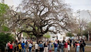 CIRCUITO-PATRIMONIO-ARBOREOo